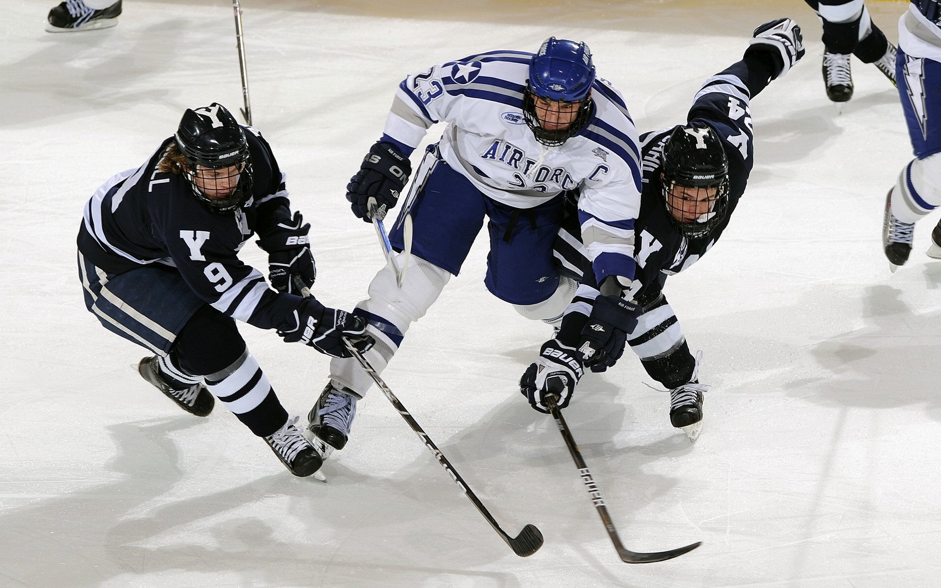 【pg模拟器官网】激情奔跑，超越极限—2023城市国际马拉松赛圆满落幕